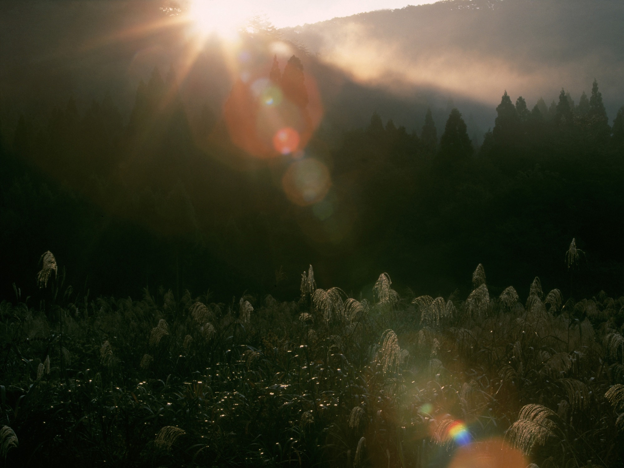 デジタルコンテンツ制作と僕たちの役割