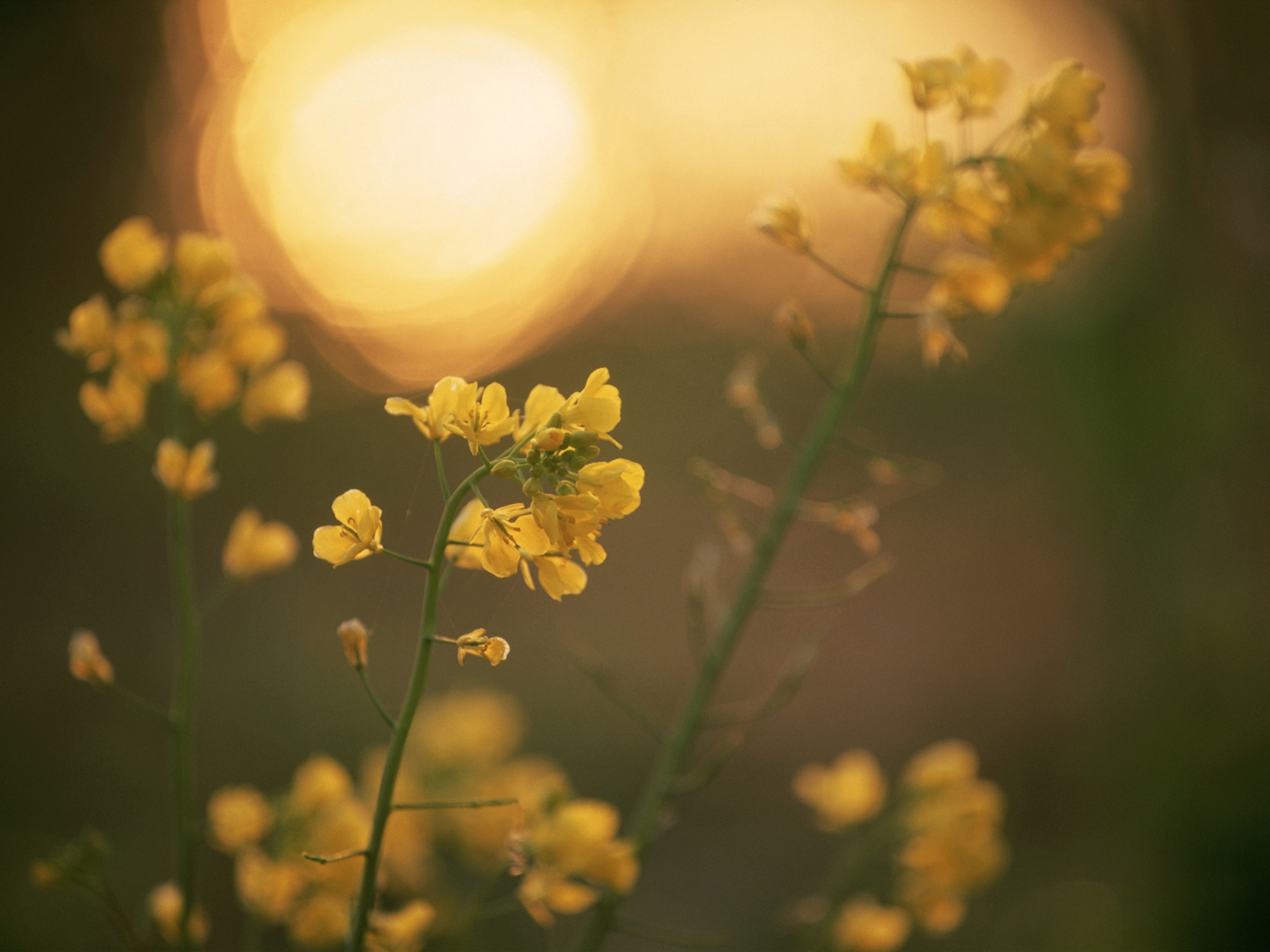 デジタルコンテンツ制作実績